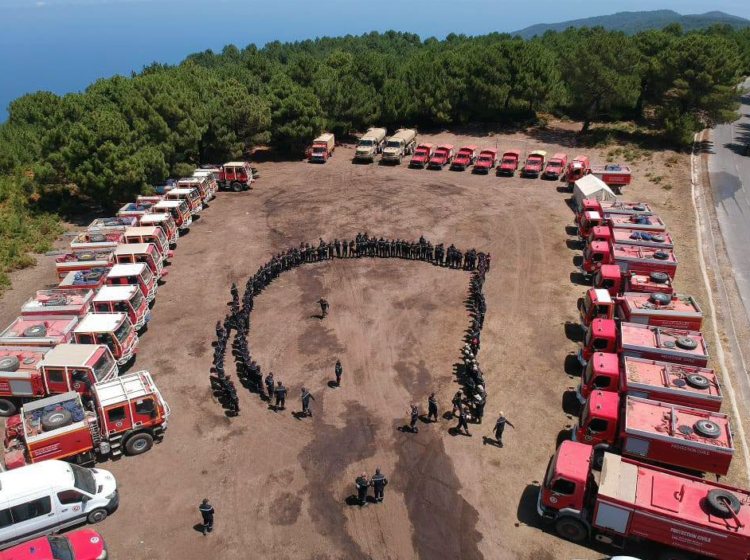 Extinguishing all forest fires in Algeria – Al-Shorouk Online