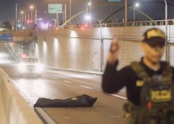 Cercado de Lima: Lifeless body found on the Yellow Line Expressway