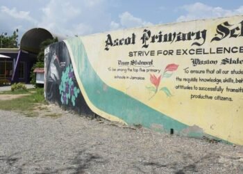 Dennis A. Minott | An open letter to the Ascot Primary School community | In Focus