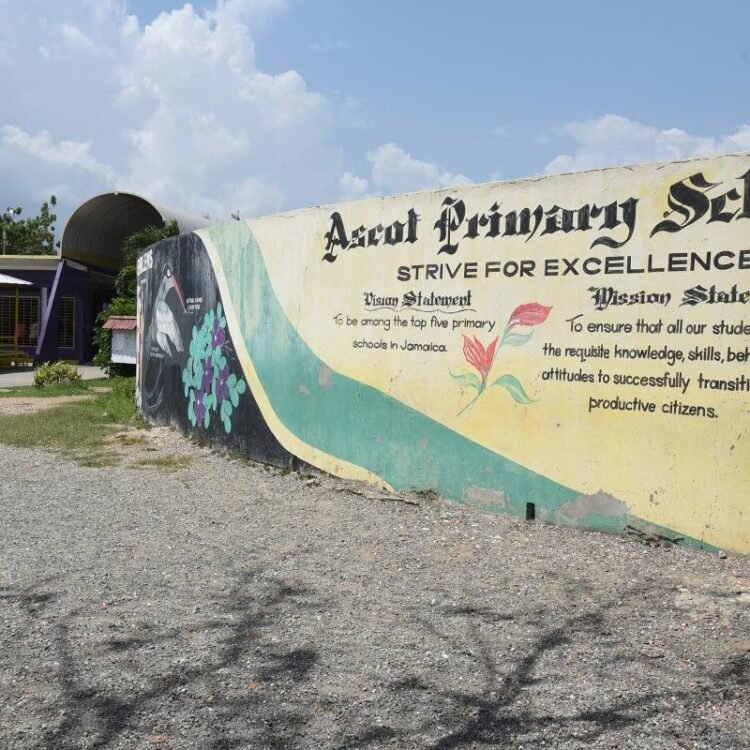 Dennis A. Minott | An open letter to the Ascot Primary School community | In Focus
