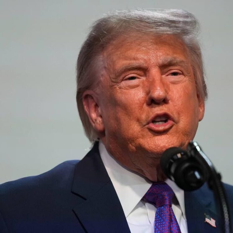 Trump filing shows he took in about US$1.2 billion from crypto businesses last year | Business