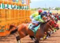 Dream Catcher could make the Oaks a procession | Sports