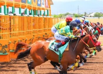 Dream Catcher could make the Oaks a procession | Sports