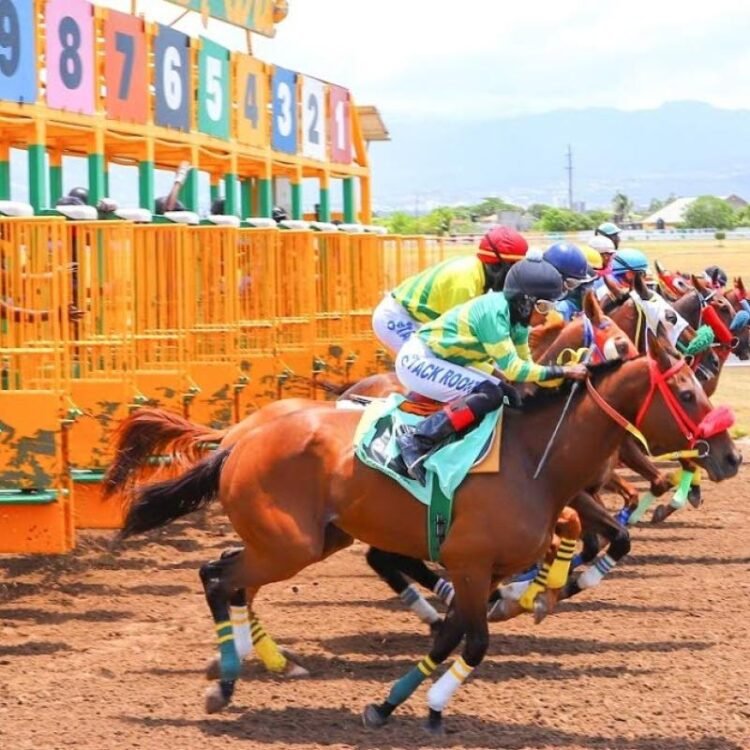 Dream Catcher could make the Oaks a procession | Sports