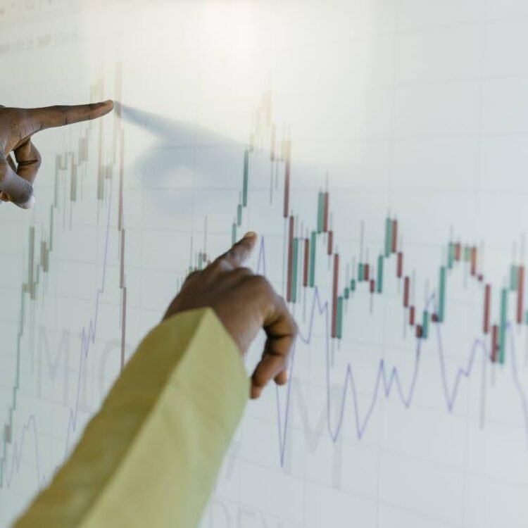 Densil A. Williams | Unravelling growth: Competition is not the problem | In Focus