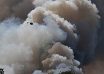 French wildfire created a monster cloud, unleashing lightning that ignited more fires | World News