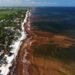 A blanket of seaweed smothers coastlines from the Caribbean to Mexico | News
