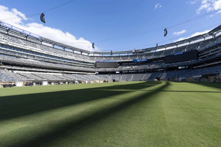 NFL players use the FIFA World Cup to demand natural grass