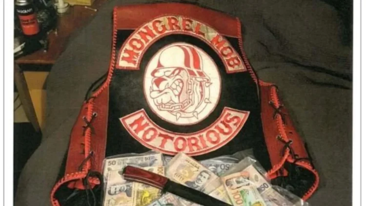 Gang patch ban inconsistent with Bill of Rights, High Court finds