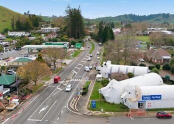One of New Zealand’s best-known roadside stops is for sale