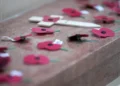 Poppy Appeal funds should not have gone to RSA club, national body concedes