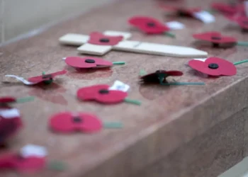 Poppy Appeal funds should not have gone to RSA club, national body concedes