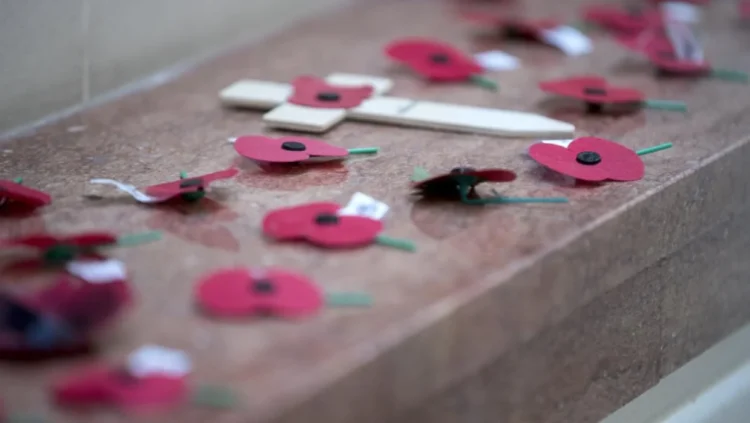 Poppy Appeal funds should not have gone to RSA club, national body concedes