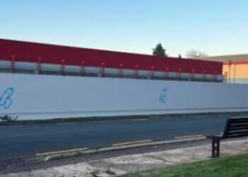 Police arrest man over alleged ‘unsightly’ penis graffiti across Waikato town