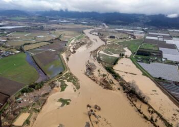 Tasman council urged to ‘get real’ on rivers