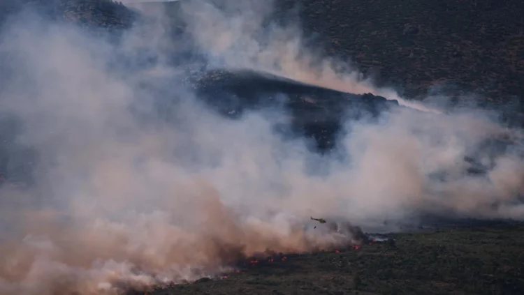 ‘Dramatic situation’ as wildfires force thousands to evacuate in Spain and France