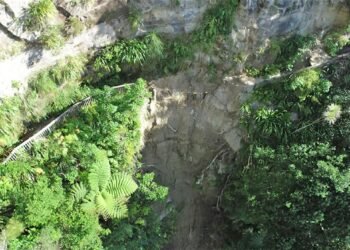Crunch time on whether to save or scrap popular walking track