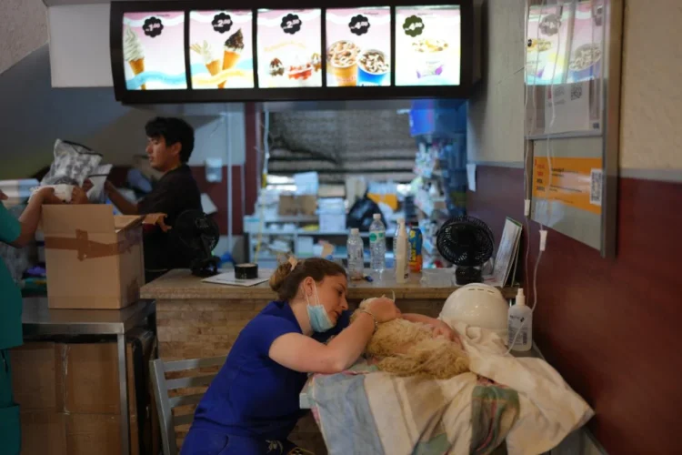 Venezuelan earthquake survivors search for missing pets in an unexpected place: McDonald’s