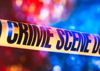 Alleged serial burglar charged over 20 Nelson break-ins dating back to 2021