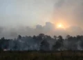 France’s Bordeaux faces evacuation as ‘apocalyptic’ fire reaches city’s gates