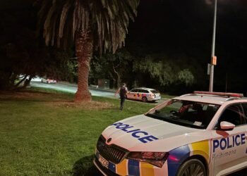 Police and fire trucks attend incident in Christchurch’s Sumner suburb