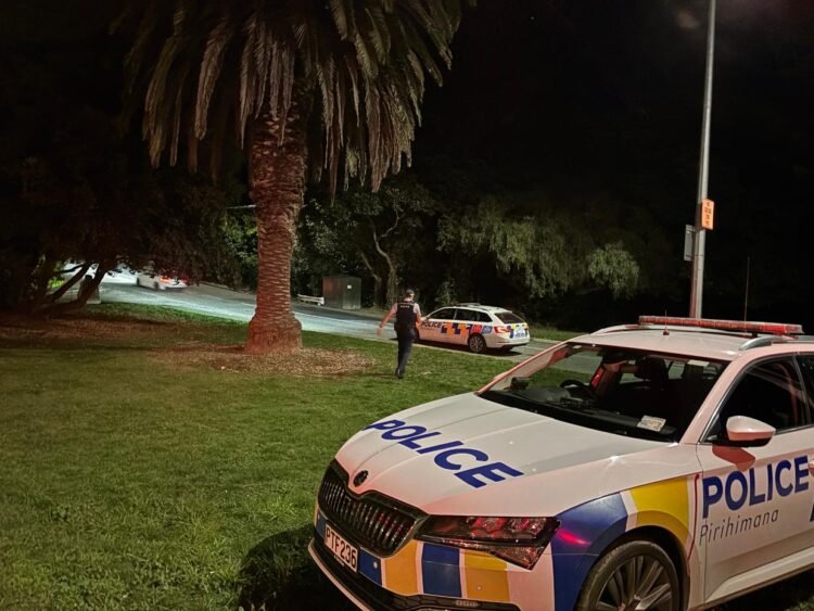 Police and fire trucks attend incident in Christchurch’s Sumner suburb