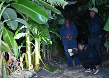 Farm theft ‘organised crime’ as minister goes on patrol