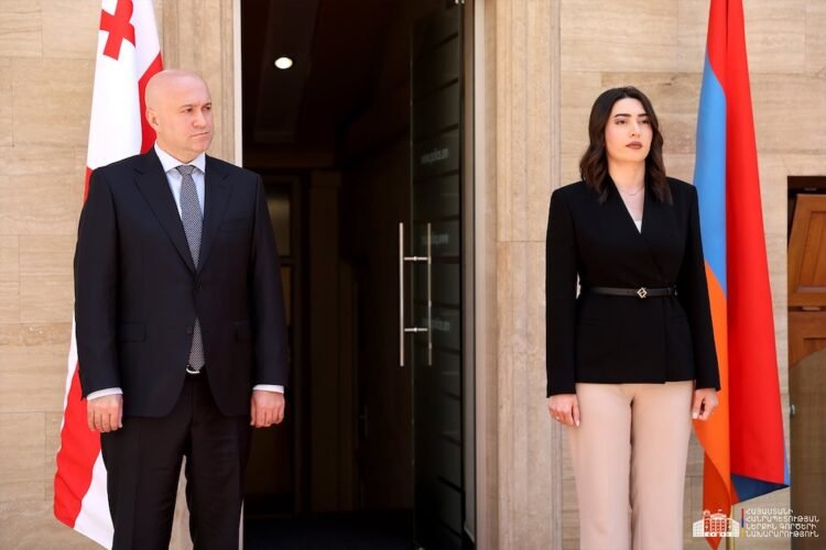 Armenia-Georgia cooperation in the field of internal security is at an unprecedentedly high level. Arpine Sargsyan received Sulkhan Tamazashvili