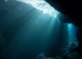 WFW secures landmark rulings in first-ever contentious Seabed Disputes Chamber proceedings before the International Tribunal for the Law of the Sea