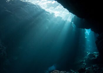 WFW secures landmark rulings in first-ever contentious Seabed Disputes Chamber proceedings before the International Tribunal for the Law of the Sea