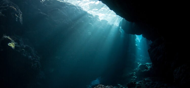 WFW secures landmark rulings in first-ever contentious Seabed Disputes Chamber proceedings before the International Tribunal for the Law of the Sea