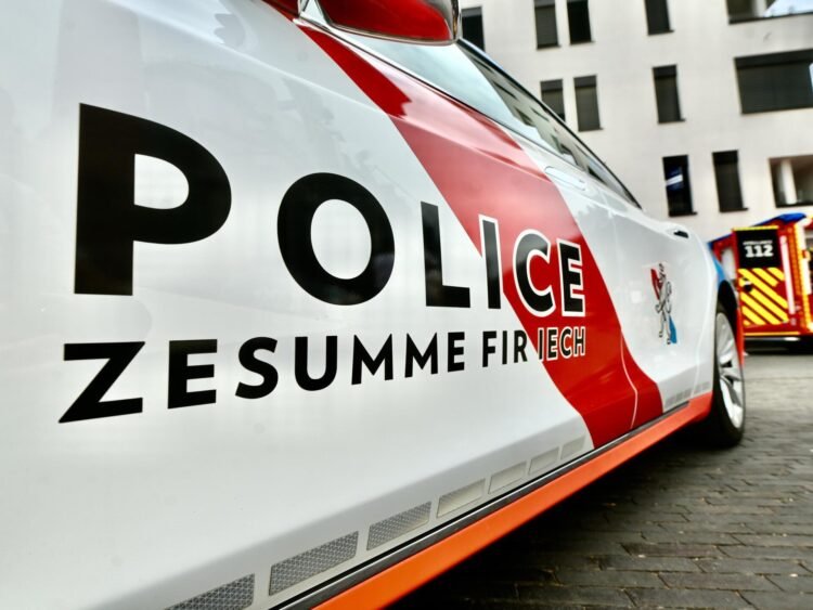 Tageblatt.lu | Justice | 27-year-old killed in Merl, suspect in custody