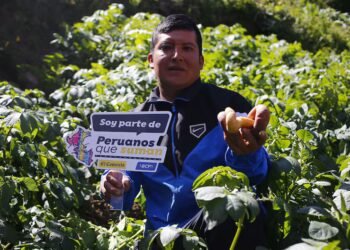 Peruanos que Suman: meet the jury of the contest launched by the BCP and El Comercio