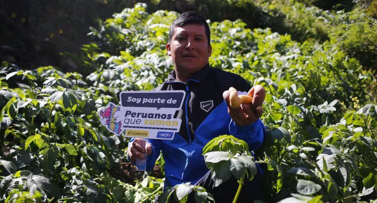Peruanos que Suman: meet the jury of the contest launched by the BCP and El Comercio