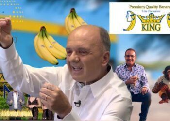 Cocaine in the containers of “Bana King”, the judge of Durrës, Rexhep Bekteshi ‘clears’ Trifon Murataj and Petrit Demishaj of the charges – Shqip.com