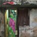 Four years after a migrant’s death in Kerala, a family in Odisha still bears the burden