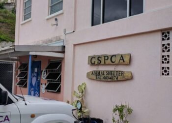 GSPCA announces temporary closure from 7 July 2026