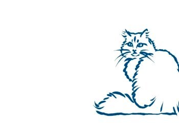 Animal owners against their will: 5,000 euros for the cat – DiePresse.com