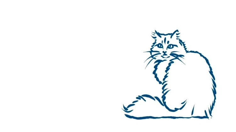 Animal owners against their will: 5,000 euros for the cat – DiePresse.com