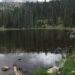 U.S. Forest Service Employees Are Freed After 15-Hour Hostage Ordeal