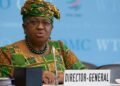Demand for critical minerals fuels conflict but could help resource-rich nations, says WTO | World News