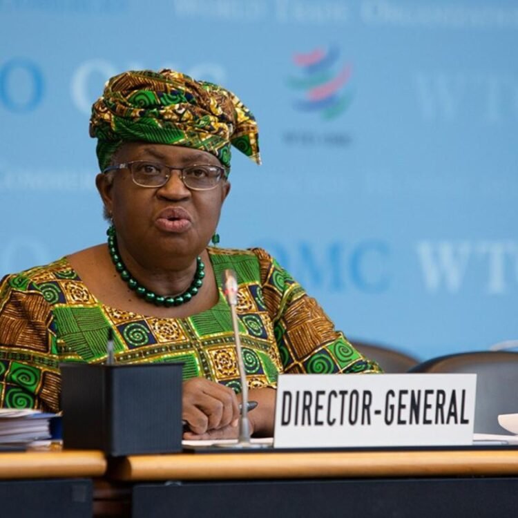 Demand for critical minerals fuels conflict but could help resource-rich nations, says WTO | World News