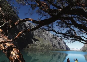 Peruvians who Add in every corner: the postcards behind the stories that inspire