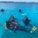 Palau Pledge Dive Club: Staying Active beneath the Surface