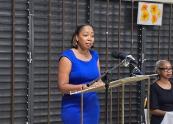 Soroptimists to relaunch senior village repairs