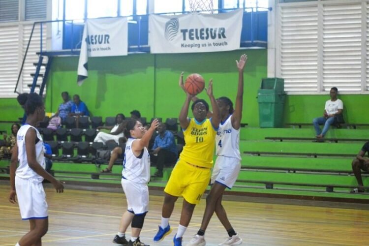 Women’s basketball final: Yellow Birds takes lead – de Ware Tijd