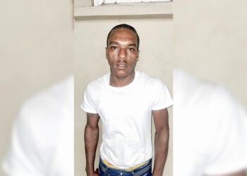 Georgetown man charged with illegal gun and ammo possession