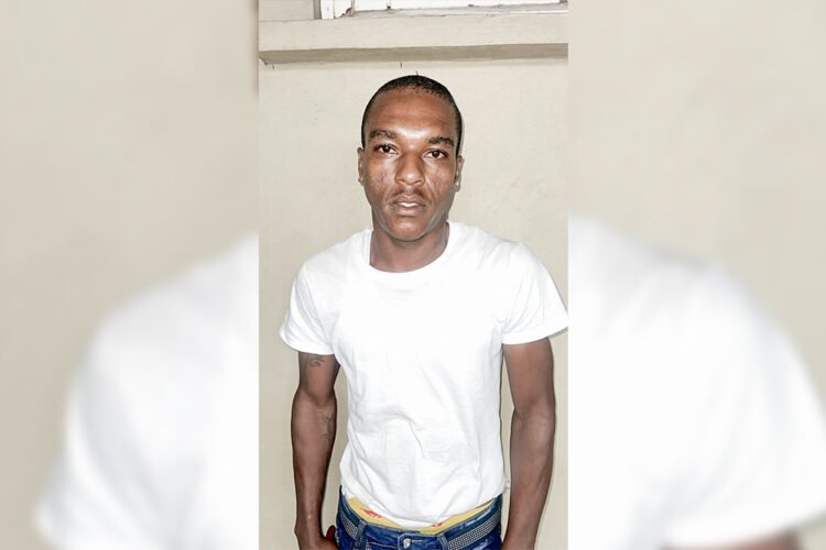 Georgetown man charged with illegal gun and ammo possession