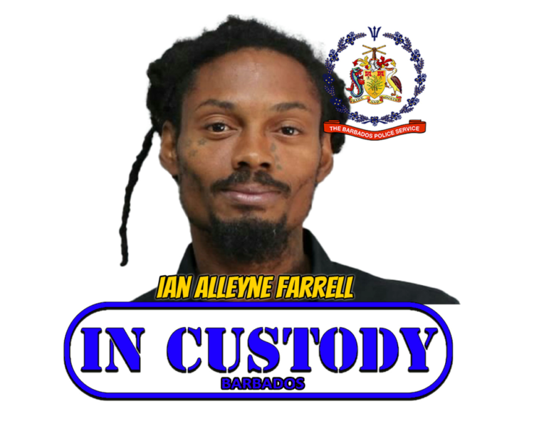Wanted man held, assisting police investigations