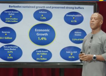 Economy loses steam as global shocks slow growth outlook, Central Bank reports